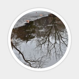 Mud Puddle Reflection Magnet